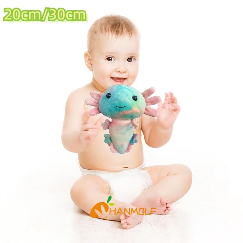 Ϳϴ Axolotl  ÷ 峭 20/30cm, ڵ ..